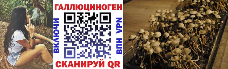 Галлюциногенные грибы MAGIC MUSHROOMS  Белый 